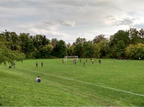 playing field
