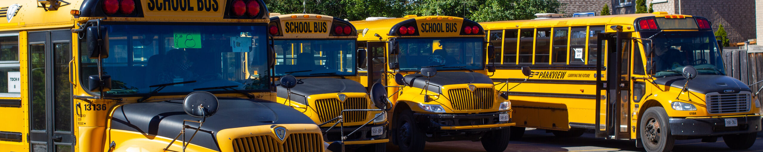 Several parked school busses.